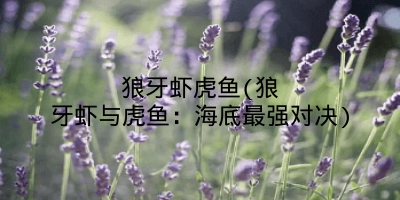 狼牙虾虎鱼(狼牙虾与虎鱼：海底最强对决)