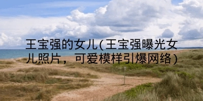 王宝强的女儿(王宝强曝光女儿照片，可爱模样引爆网络)