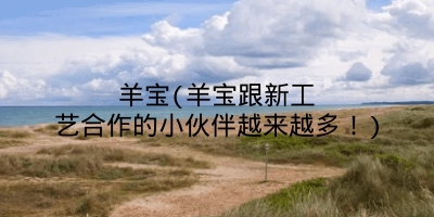 羊宝(羊宝跟新工艺合作的小伙伴越来越多！)