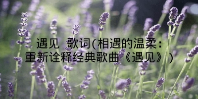 遇见 歌词(相遇的温柔：重新诠释经典歌曲《遇见》)