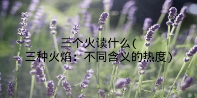 三个火读什么(三种火焰：不同含义的热度)