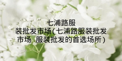 七浦路服装批发市场(七浦路服装批发市场 服装批发的首选场所)