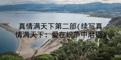 真情满天下第二部(续写真情满天下：爱在纷争中磨砺)