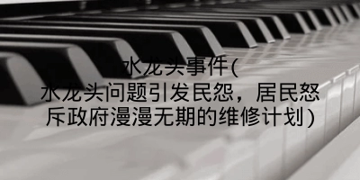 水龙头事件(水龙头问题引发民怨，居民怒斥政府漫漫无期的维修计划)
