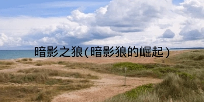 暗影之狼(暗影狼的崛起)