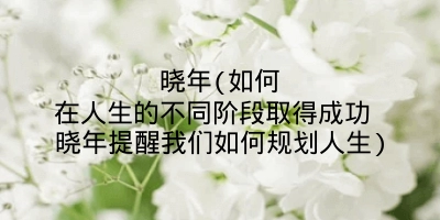晓年(如何在人生的不同阶段取得成功 晓年提醒我们如何规划人生)