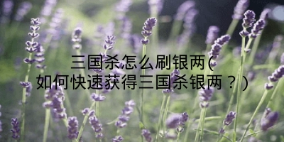 三国杀怎么刷银两(如何快速获得三国杀银两？)