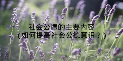 社会公德的主要内容(如何提高社会公德意识？)