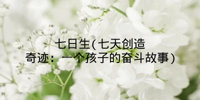 七日生(七天创造奇迹：一个孩子的奋斗故事)