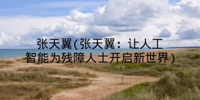 张天翼(张天翼：让人工智能为残障人士开启新世界)
