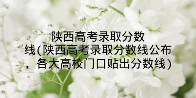陕西高考录取分数线(陕西高考录取分数线公布，各大高校门口贴出分数线)