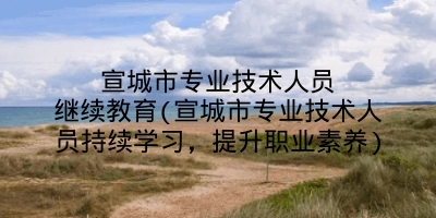 宣城市专业技术人员继续教育(宣城市专业技术人员持续学习，提升职业素养)
