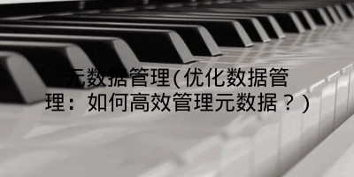 元数据管理(优化数据管理：如何高效管理元数据？)