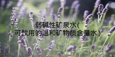 弱碱性矿泉水(可饮用的温和矿物质含量水)