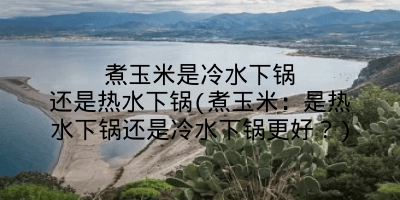 煮玉米是冷水下锅还是热水下锅(煮玉米：是热水下锅还是冷水下锅更好？)