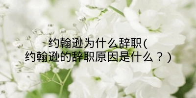 约翰逊为什么辞职(约翰逊的辞职原因是什么？)