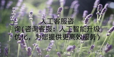 人工客服咨询(咨询客服：人工智能升级优化，为您提供更高效服务)
