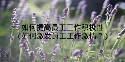 如何提高员工工作积极性(如何激发员工工作激情？)