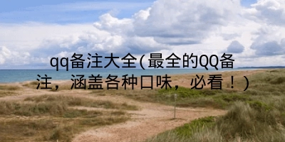 qq备注大全(最全的QQ备注，涵盖各种口味，必看！)