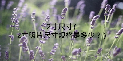 2寸尺寸(2寸照片尺寸规格是多少？)