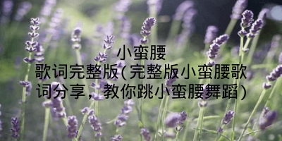 小蛮腰歌词完整版(完整版小蛮腰歌词分享，教你跳小蛮腰舞蹈)