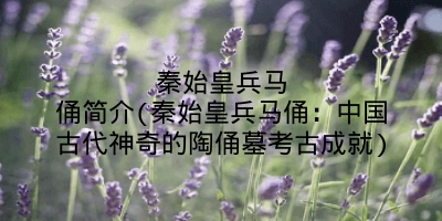 秦始皇兵马俑简介(秦始皇兵马俑：中国古代神奇的陶俑墓考古成就)