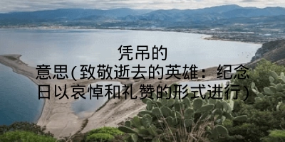 凭吊的意思(致敬逝去的英雄：纪念日以哀悼和礼赞的形式进行)