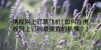 携程网上订票飞机(如何在携程网上订购最便宜的机票？)