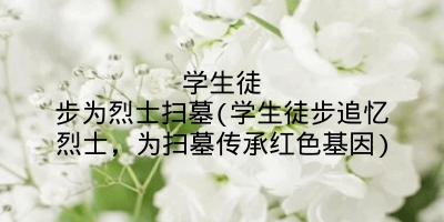 学生徒步为烈士扫墓(学生徒步追忆烈士，为扫墓传承红色基因)