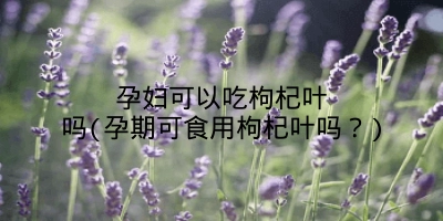 孕妇可以吃枸杞叶吗(孕期可食用枸杞叶吗？)