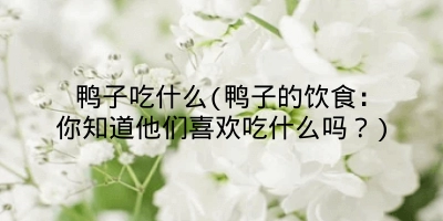 鸭子吃什么(鸭子的饮食：你知道他们喜欢吃什么吗？)