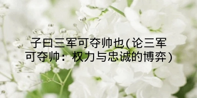 子曰三军可夺帅也(论三军可夺帅：权力与忠诚的博弈)