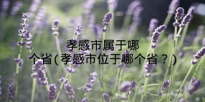 孝感市属于哪个省(孝感市位于哪个省？)