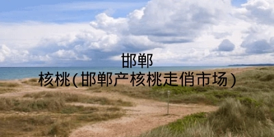 邯郸核桃(邯郸产核桃走俏市场)