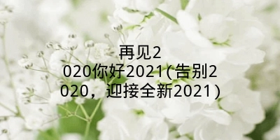 再见2020你好2021(告别2020，迎接全新2021)