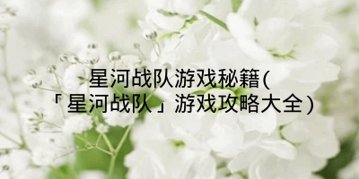 星河战队游戏秘籍(「星河战队」游戏攻略大全)