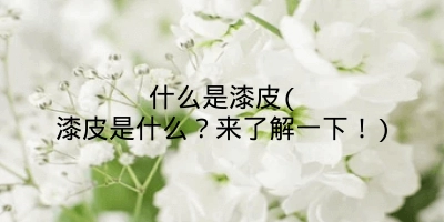 什么是漆皮(漆皮是什么？来了解一下！)