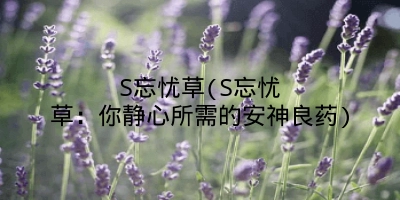 S忘忧草(S忘忧草：你静心所需的安神良药)