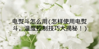 电熨斗怎么用(怎样使用电熨斗，温度控制技巧大揭秘！)
