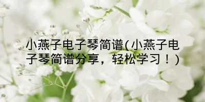 小燕子电子琴简谱(小燕子电子琴简谱分享，轻松学习！)