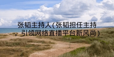 张韬主持人(张韬担任主持，引领网络直播平台新风尚)