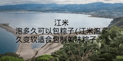 江米泡多久可以包粽子(江米泡多久变软适合包制美味粽子？)