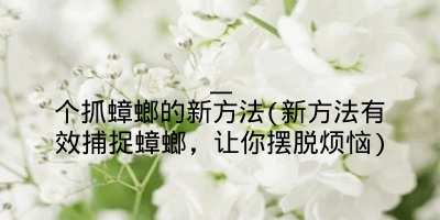 一个抓蟑螂的新方法(新方法有效捕捉蟑螂，让你摆脱烦恼)