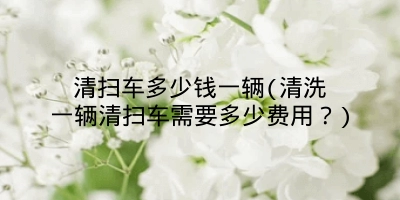 清扫车多少钱一辆(清洗一辆清扫车需要多少费用？)