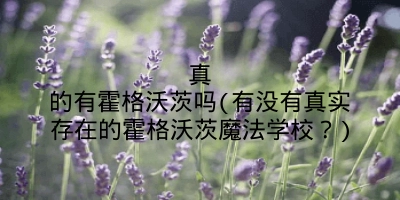 真的有霍格沃茨吗(有没有真实存在的霍格沃茨魔法学校？)
