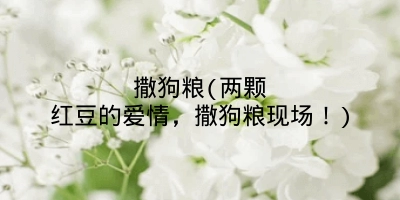 撒狗粮(两颗红豆的爱情，撒狗粮现场！)