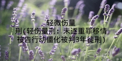 轻微伤量刑(轻伤量刑：未遂重罪移情被告行动僵化被判3年徒刑)