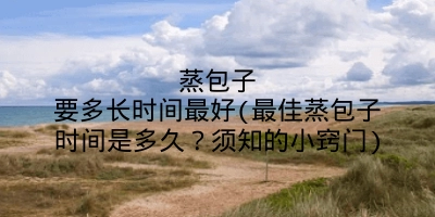 蒸包子要多长时间最好(最佳蒸包子时间是多久？须知的小窍门)