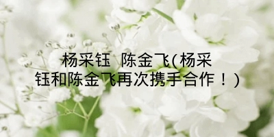 杨采钰 陈金飞(杨采钰和陈金飞再次携手合作！)