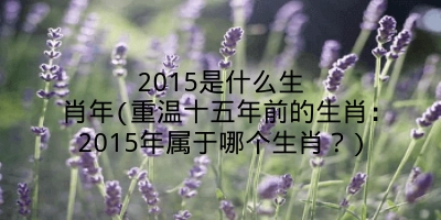 2015是什么生肖年(重温十五年前的生肖：2015年属于哪个生肖？)